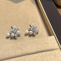 Macro shot of S925 silver earrings with pearls and cubic zirconia in a jewelry box - Silver Irregular Stud Earrings