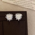 Silver fireworks stud earrings with zircon stones on premium velvet background - Silver Zirconia Inlaid Firework Stud Earrings (A-203)