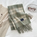 Classic green plaid winter scarf with fringe details and elegant label for women - Green