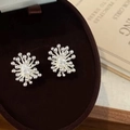 Silver firework stud earrings with oval zircon set in a premium brown velvet jewelry box - Silver Firework Zirconia Stud Earrings (A-1359)