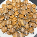 Pendenti in pietra naturale con venature del legno lucido e gancio argento in ciotola - Diaspro
