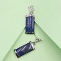 Lapis Lazuli Ohrhänger mit silbernen Metallkappen auf grünem Hintergrund - Blauer Punkt Jaspis