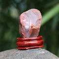 Pietra di agata rossa naturale con trama a strati su supporto in legno decor - Agata rossa