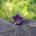 30mm natural amethyst star ornament with polished edges on dark textured stone - Amethyst