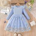 Hellblaues Mädchen Langarm Prinzessinnenkleid mit Blumenstickerei und Rüschentüll - 100cm / Blau
