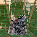 Bolso bandolera con bordado de margaritas blancas y ribete de encaje en blanco y negro - Bolso Bandolera de Flores Negro