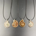 Natural ammonite fossil pendant necklace set with brown spiral patterns and black cord - Ammonite Fossil Shell Pendant