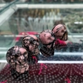 Hand-carved pink rhodonite crystal skull figurines with natural black vein patterns - Rhodonite