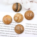 Lot de quatre cabochons ronds en jaspe 20mm avec des textures de pierre naturelles - 20mm / Jaspe