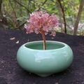 Árbol de cristal de cuarzo rosa hecho a mano con hilo de cobre y base de cerámica - Cuarzo Fresa (Sin Maceta)