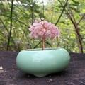Árbol de la vida artesanal de cuarzo rosa con hilo de cobre en un bol de cerámica - Cuarzo Rosa (Sin Maceta)
