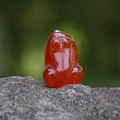 Natural red agate crystal sun bear pendant with silver clasp on a natural stone background - Frog