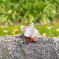 Red jasper Merkaba star stone ornament placed on a grey rock with garden background - Bloodstone