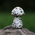 Pilzförmiges Ornament aus natürlichem Dalmatiner-Jaspis auf einem grauen Felsen - Gepunkteter Stein