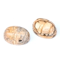 Tiger eye ladybug stone beads with natural brown texture and horizontal drill hole - Jasper