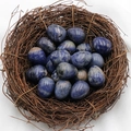 Polished egg shaped Sodalite gemstone in blue and white within a decorative nest - Blue Vein Stone (Single Piece)