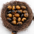 Polished tiger eye stone egg in a decorative bird nest made of natural twigs - Tiger's Eye (1pc)