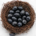 Polished labradorite egg shaped natural stones displayed in a small woven bird nest - Black Flash Stone (1pc)