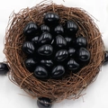 Polished black agate egg-shaped stones displayed in a natural bird nest decor - Obsidian (1pc)