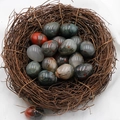 Egg shaped 20mm bloodstone natural agate stones in a bird nest decoration - African Bloodstone (1pc)