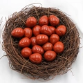Egg-shaped red jasper stones with natural patterns in a bird nest for home decor - Red Jasper (1pc)