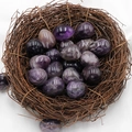 Polished purple amethyst egg stones displayed in a natural bird nest decor - Amethyst (1pc)