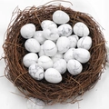 Polished egg-shaped white howlite stone with gray marble texture in bird nest - White Turquoise (1pc)