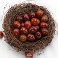 Polished red agate egg-shaped gemstones presented in a decorative bird nest - Red Agate (1pc)