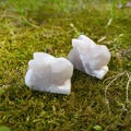 Paire de figurines de lapins sculptées en agate blanche sur fond de mousse verte - Agate