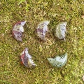 Set of five hand-carved moon-faced natural stone ornaments on green moss background - Dragon Blood Stone (Single Piece)