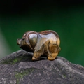Carved tiger eye stone mini pig figurine with natural brown chatoyant crystal texture - Tiger's Eye