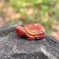 Tartaruga scolpita in agata naturale nei toni rosso-arancio per decorazione casa - Giada colorata