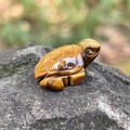 Tiger eye stone sea turtle figurine with natural brown stripes on a grey rock surface - Tiger's Eye