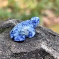 Hand-carved blue and white sodalite sea turtle figurine with polished natural stone texture - Blue Spot Stone