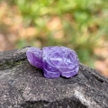 Hand-carved purple amethyst crystal turtle figurine displayed on natural mossy rock - Amethyst