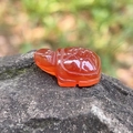 Hand-carved red agate turtle figurine with detailed shell pattern and polished finish - Red Agate