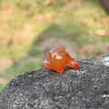 Delfino intagliato in corniola arancione da 1 pollice su una superficie di roccia naturale - Agata rossa