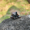 Mini statuetta di delfino in pietra naturale in diaspro maculato nero e rosso - Diaspro Sesamo