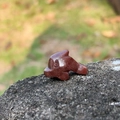 Mini figurina di delfino in pietra di cristallo naturale marrone rossastro lucido - Aventurina viola