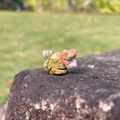 Miniature natural unakite stone squirrel carving with red and green textures - Unakite