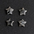Mini stelle in labradorite naturale 15mm con motivi minerali grigi per artigianato fai-da-te - Pietra Sangue di Drago