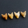 Set of four hand-carved orange agate wolf head figurines with translucent finish - Topaz