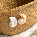 Close-up of nautilus earrings on a woven basket with a sandy beach background - Nautilus Shape Style (29367-3)