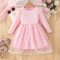 Pink toddler girl long sleeve princess dress with star tulle skirt and lace detail - 100cm / Pink