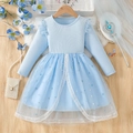 Light blue long sleeve princess dress with sequined snowflake tulle skirt for girls - 100cm / Light Blue
