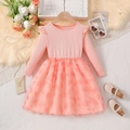 Abito da principessa rosa a maniche lunghe per bambine con gonna in tulle a cuori - Arancione / 100cm(3-4Y)