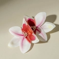 Gedetailleerde macro-opname van 3D-orchidee-oorbellen met roze verloop en kraalaccenten - Pink and White Gradient (Hair Clip)