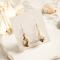 Boucles d'oreilles conque naturelle avec crochets argentés sur socle de sable - Style Conchyliore Brun Crème (29368-4)