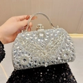 Borsa da sera argento con strass scintillanti e dettaglio a farfalla in cristallo - Argento