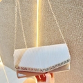 Elegante bolso de noche de seda champán y tela plisada blanca con adornos de diamantes - Plateado